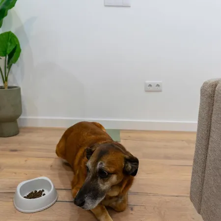 Matisse, Totalmente Reformado Y Modernista