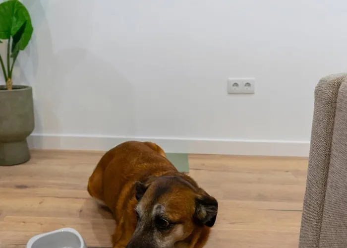 Apartament Matisse, Totalmente Reformado Y Modernista